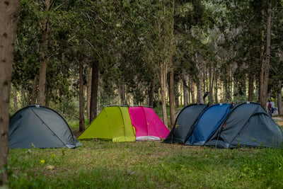 RhinoWolf 2.0 : 3 Seasons, Polyester Tent, Down blanket